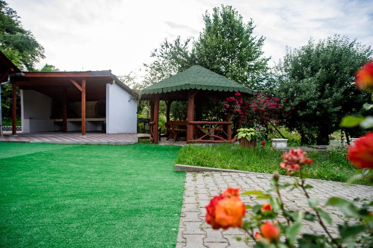Dumbraveni  Hotel Marion Poiana מראה חיצוני תמונה